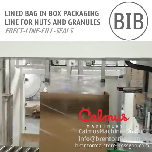 Liner Bag in Box Forming Filling Sealing Line for Packaging Nuts and Granules
